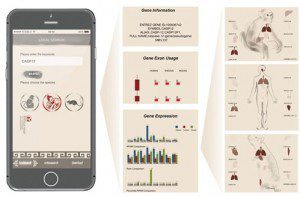 RhesusBase PopGateway的iPhone APP界面