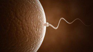 _88445984_thinkstockphotos-153528417