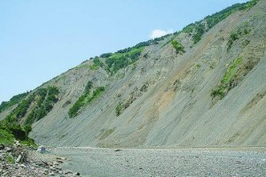 2008 年汶川地震造成的成片滑坡