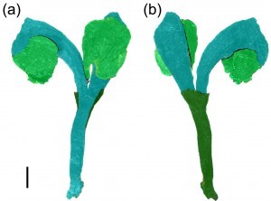 W020160725429211290869
