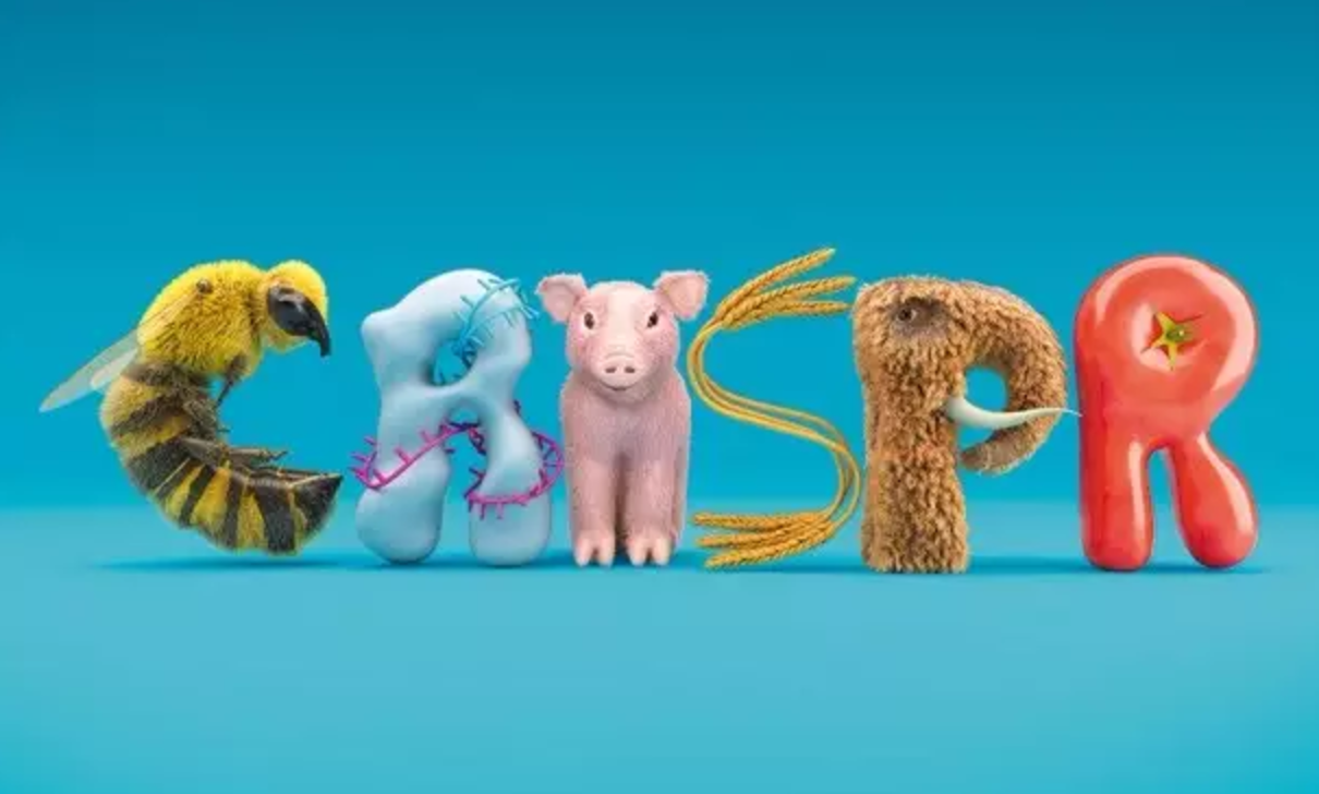 crispr