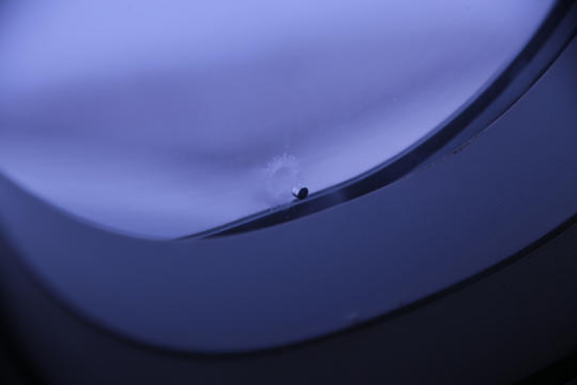 飞机舷窗上小孔的功用