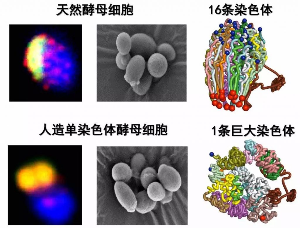 2018年度中国科学十大进展