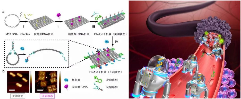 2018年度中国科学十大进展