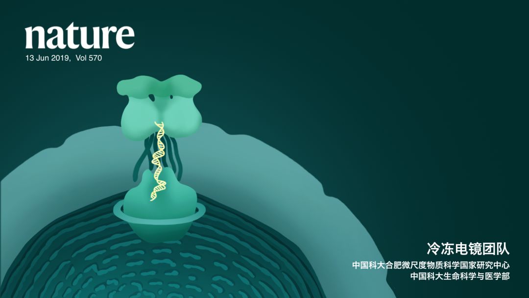 年末科技成果总结,科大成果丰盛