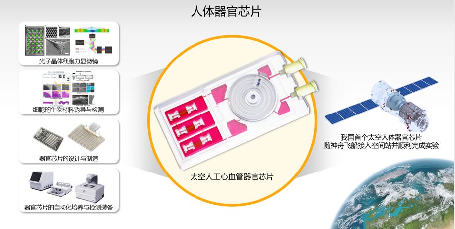 2023年度中国生命科学十大进展