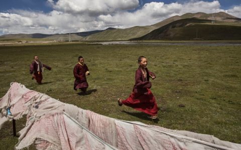 手印化石表明人类早在7000年前就在青藏高原活动